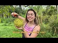 we picked 12 exotic fruits in one morning {slow life on the farm}
