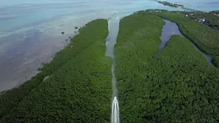 The Tides of Time Islamorada Florida