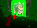 Download Lagu Ethel the Viral OIIA OIIA (Spinning Cat) Anthem 😍