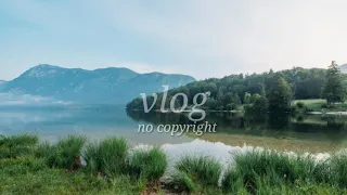 Download synthetic music (vlog no copyright music) MP3