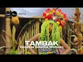 Download Lagu GENDING SEBLANG OLEHSARI - TAMBAK