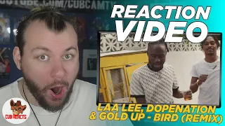 laa lee dopenation u0026 gold up bird remix official video uk reaction u0026 analysis video cubreacts