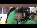 Jenison girls hockey makes history