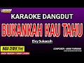 Download Lagu BUKANKAH KAU TAHU KARAOKE DANGDUT - ELVY SUKAESIH