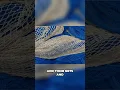 Download Lagu James: The First Disciple to Die for Christ #shorts #encouragement #motivation