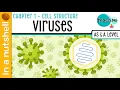 Chapter 1 - Viruses In A Nutshell