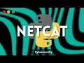Python for Hackers how to create netcat with python