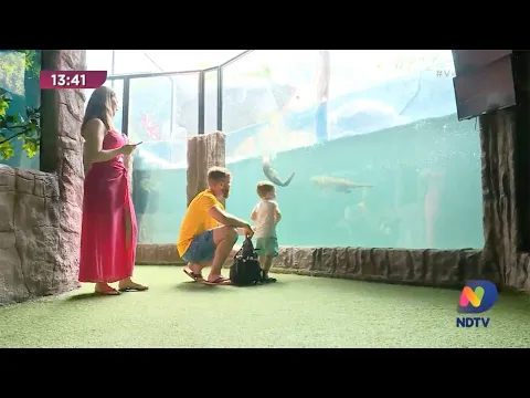 Aquário de Balneário Camboriú recebe certificado de Bem-Estar Animal