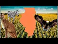 Rare Animal Sitings in Illinois You Wont Believe It