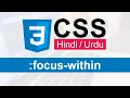 CSS Focus-within Pseudo Class Tutorial in Hindi Urdu