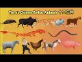 12 Chinese Zodiac Animals