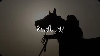 هب نسناس دندنها
