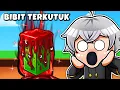 Download Lagu Owner GROW A GARDEN Kasih Aku BIBIT SECRET