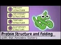 Protein Structure and Folding