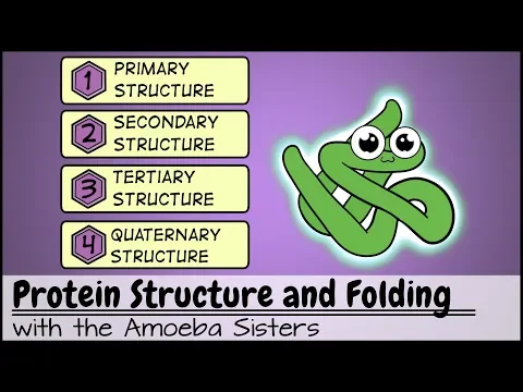 Download MP3 Protein Structure and Folding