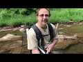 WVDNR surveys Gandy Creek to assess weekly trout numbers
