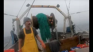 Exploring Where Your Food Comes From Ep.227