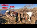 California Refuge Duck Hunt
