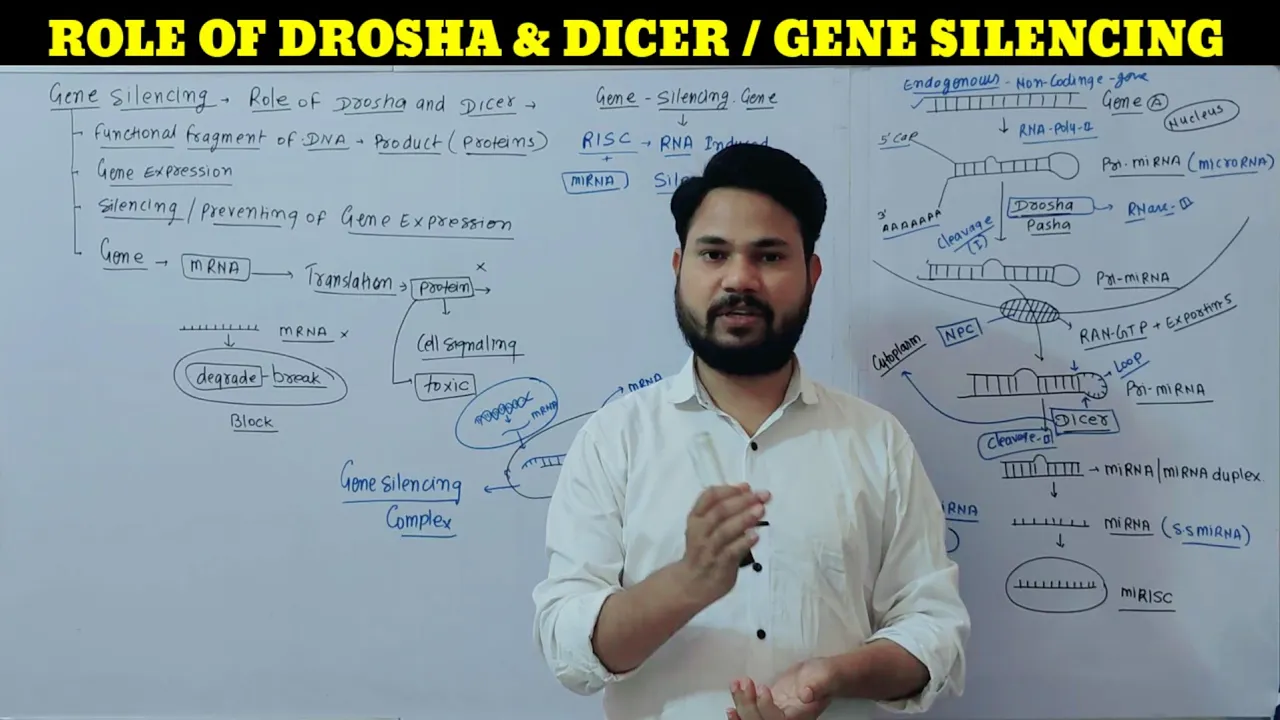 ROLE OF DROSHA & DICER / ROLE OF miRNA / GENE SILENCING / ROLE OF RISC / GENE INTERFACE / PASHA