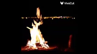 حالات واتس آب    ياليل خبرني   دندنها