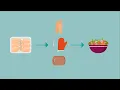 What is cross-contamination of foods