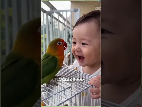 Mithhu Learn to Talk 🦜😱  #viral #shorts