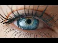 Why Do We Blink