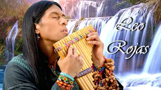Лео Рохас Лучшее The Best Of Leo Rojas 