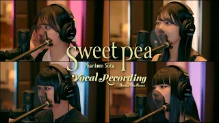 ファントムシータ『スイートピー』(Vocal Recording ー Behind The Scenes)