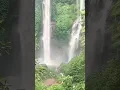 Download Lagu Sekumpul Waterfalls, Bali, Indonesia🇮🇩