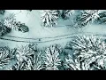 Download Lagu Pure Love (Official Video) - DJ Koze feat. Damon Albarn