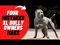 4 Common Mistakes XL American Bully Owners Make