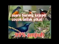 Download Lagu Suara pikat burung kejepit  99% andalanku