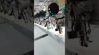 Https M Facebook Com Story Php Story Fbid Pfbid02PND4N2CjP4YXuAGmQreGCxVfdYTgMRtaWG4qXKrkErYpus3sZ 