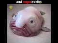 Channel