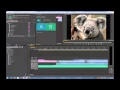 Adobe Premiere Pro CS6 Tutorial Basic Editing