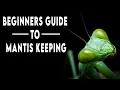 Lagu Praying Mantis Keeping 101 - A Beginners Guide