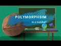 Polymorphism in a Nutshell