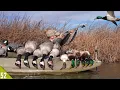 Lagu SOLO Duck and Goose Kayak Limits (ALL DRAKES)! | Late Season Duck Hunting