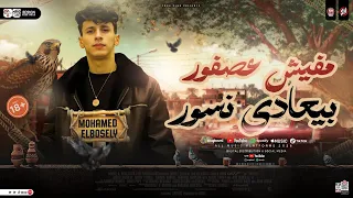 مفيش عصفور بيعادي نسور   محمد البصيلي        ترند التيك توك   ميكس مواويل حزينه   حظ شعبي جديد      دندنها