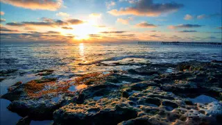 الشيخ علاء المزجاجي من سوره المعارج إلى سوره الأنسان 