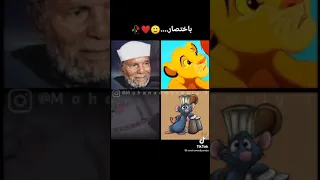 حالات واتس الشيخ الشعراوي الفار الطباخ سيمبا لو ركزت على اللي ضاع منك عمرك مهتشوف اللي مستنيك 