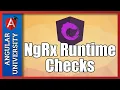 NgRx Runtime Checks - How do they work