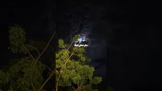 قلبي في المدينة بدون موسيقى اناشيد ماهر زين بدون موسيقى Nasheed Shorts 