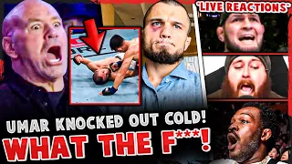 MMA Community REACTS Umar Nurmagomedov KNOCKED OUT COLD Khabib DEVASTATED LIVE REACTIONS