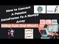 32 How to Convert a Pandas DataFrame to a Numpy Array Using Just One Word A Professional Way