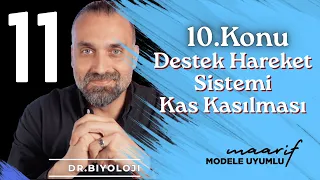 Destek Hareket Sistemi - Kasların Kasılması | 11. Sınıf Biyoloji Maarif Model
