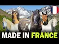 Download Lagu All 5 French Horse Breeds Inc 1 Recently Discovered