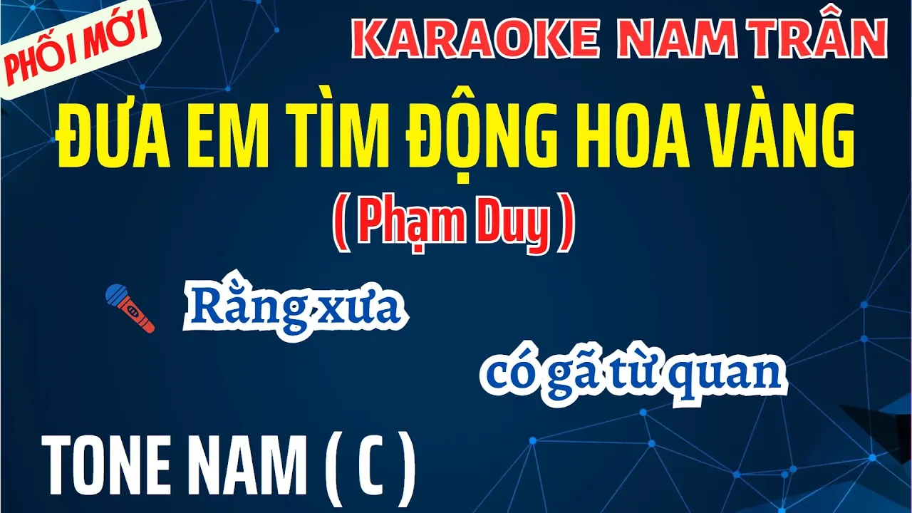 Karaoke Đưa Em Tìm Động Hoa Vàng Tone Nam | Nam Trân