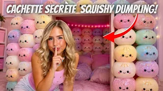 J'ai créé une cachette secrète SQUISHY DUMPLING !